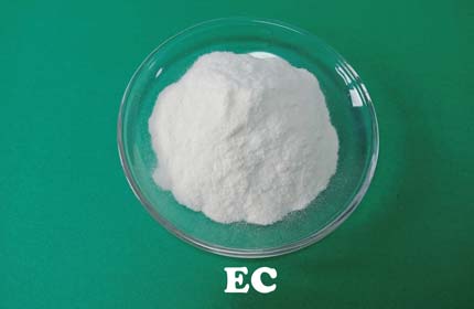 Cellulose éthylique (CE)