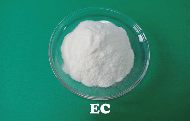 Cellulose éthylique (CE)