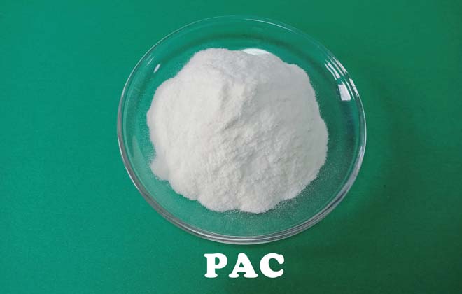 Cellulose polyanionique (PAC)
